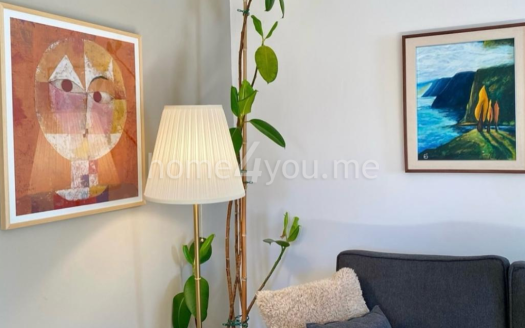 Cozy, fully renovated house with yard near the botanical garden, Kolašin