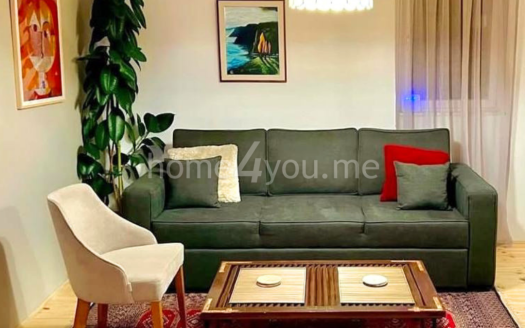 Cozy, fully renovated house with yard near the botanical garden, Kolašin